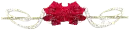 red rose