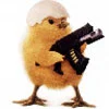 crazy chick