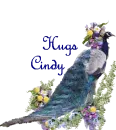 Cindy's blue peacock 