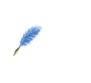 Dan written with blue feather