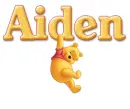 winnie pooh aiden
