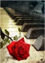 Piano with Rose