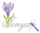 dragonfly tonya