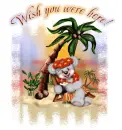 Wish you were here