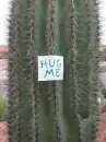 Hug me...