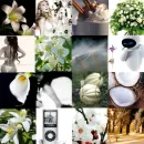 Something white