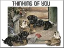 THINKING OF YOU