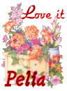 Pelia