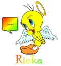 love it / Rieka