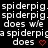 Spiderpig