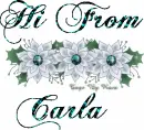 Hi From Carla