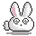 bunny confused