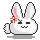 bunny angry!
