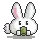 bunny drink drink
