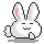 bunny cool!