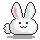 bunny OMG!