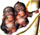 just monkeyin around