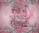 For a special friend flowers