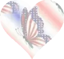 USA BUTTERFLY