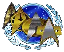 4 com badges