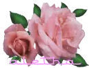 aletha