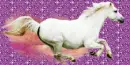 White Horse