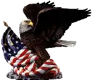 Eagle n Flag
