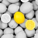 lemon