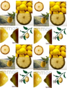 lemon