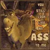 donkey