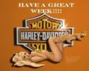 harley girl