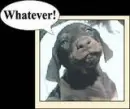 whatever