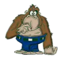ape