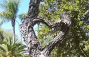 Love Nature