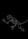 TIGER BONES