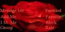 A rose for you