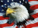 EAGLE USA
