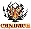 tiger candace