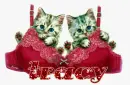 tracy