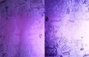 Background tagggrr