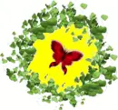 batterfly
