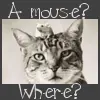 Mouse+Cat