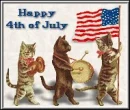 4TH OF JULY CATS
