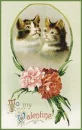 Valentine Cats