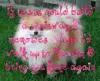 pet love