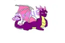 exotic dragon