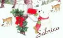 Sabrina Special Delivery