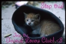 Join animal lovers club