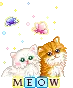 Meow