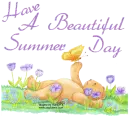 HAVE A BEAUTIFUL SUMMER DAY/BEAR